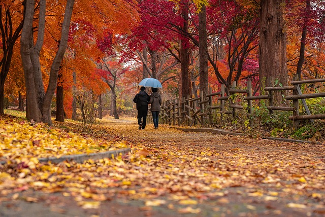 smiling seniors walking together in a park on a gentle path
